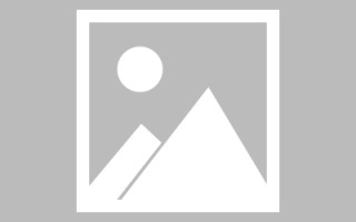 开原专业网站建设指南（专业 网站建设）